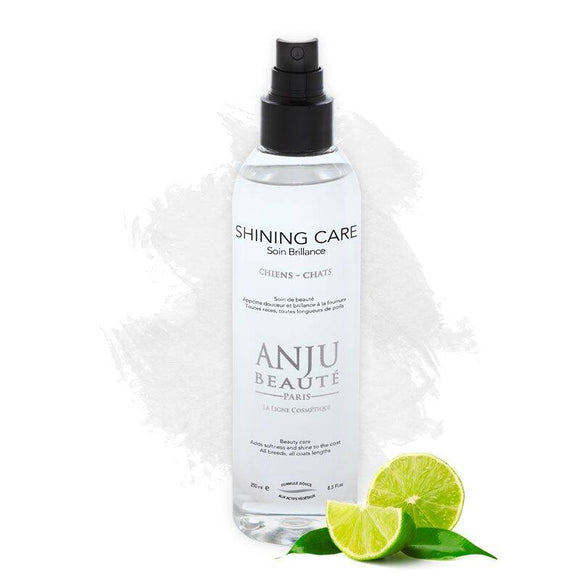 Anju Beaute Shining Care Spray – Coat Polishing Formula, 150ml, Enhances Shine and Smoothness