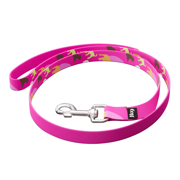 Julius-K9 MoreColor Basic Leash – 120cm Durable Webbing with Dog Pattern Design