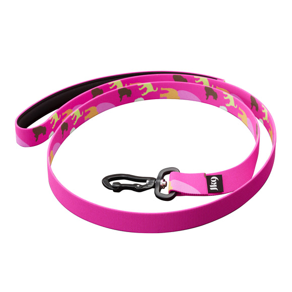 Julius-K9 MoreColor Dogz Leash 120cm – Neoprene Handle, Colorful Tape Design