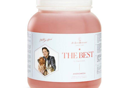 Iv San Bernard The Best Andromeda Shampoo – Regenerating Wild Rose Formula, 2.5L, Gentle on Sensitive Skin