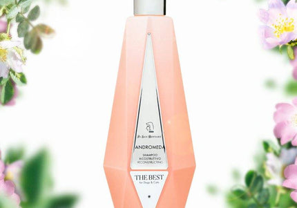 Iv San Bernard Andromeda Regenerating Shampoo with Wild Rose Extract, 550ml – Gentle Care for Sensitive Skin