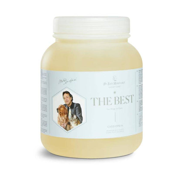Iv San Bernard The Best Cassiopeia Shampoo – Acacia Extract, 2.5L, Gentle Cleansing for Short Coats