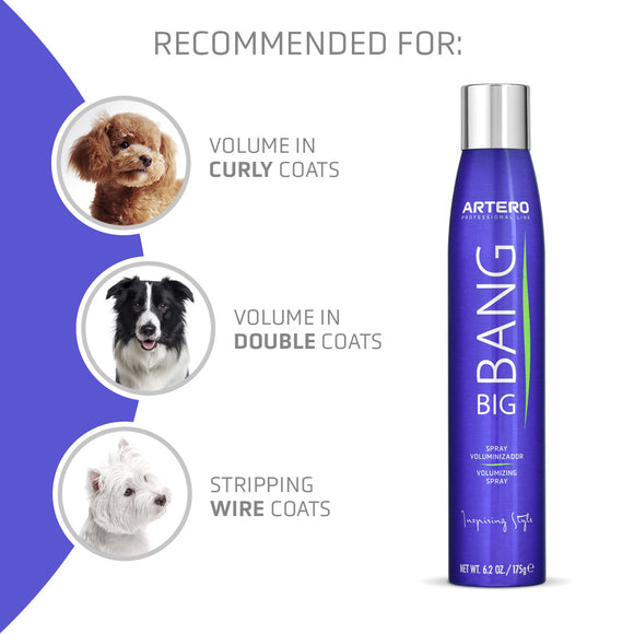 Artero Big Bang Volumizing Spray – Coat Lifting Formula, 300ml, Adds Lasting Fullness and Shine