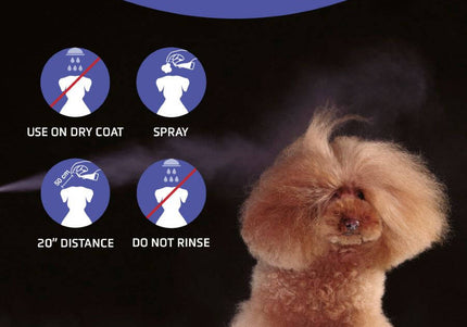 Artero Big Bang Volumizing Spray – Coat Lifting Formula, 300ml, Adds Lasting Fullness and Shine