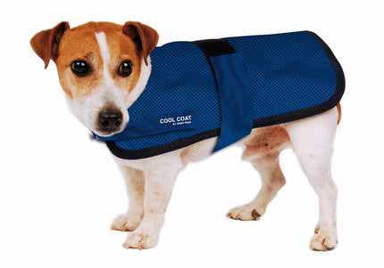 Show Tech Cool Coat Cooling Vest – Lightweight Breathable Design, 80 cm Size
