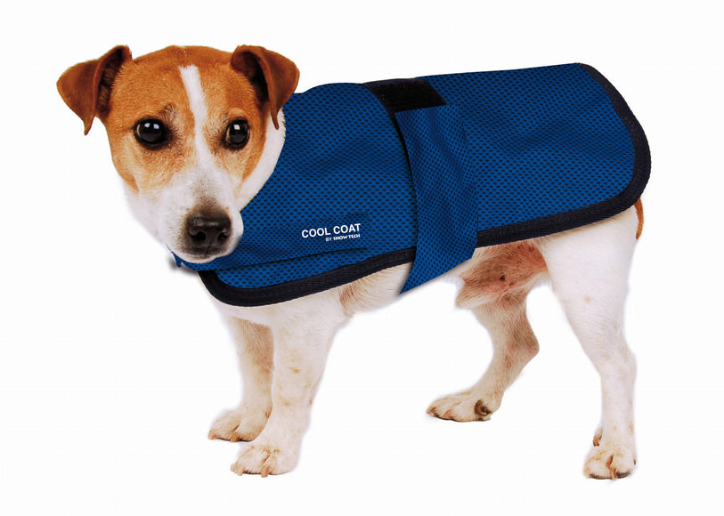 Show Tech Cool Coat Cooling Vest – Lightweight Breathable Design, 60 cm Size