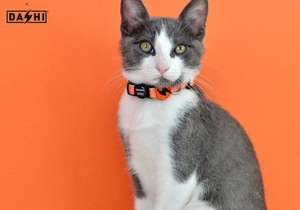 Dashi La Casa De Papel Jarana Cat Collar – Beige Adjustable Collar with Money Heist Theme