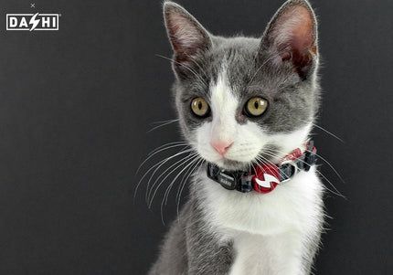 Dashi La Casa De Papel Melted Cat Collar – Graphite, Money Heist Theme, Durable Design