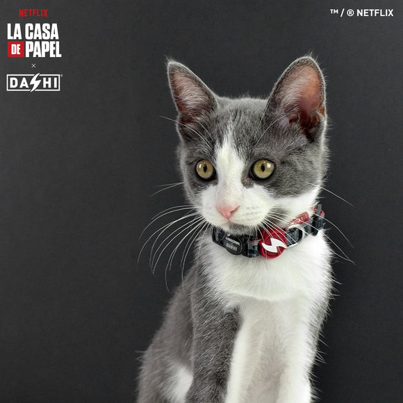 Dashi La Casa De Papel Melted Cat Collar – Graphite, Money Heist Theme, Durable Design