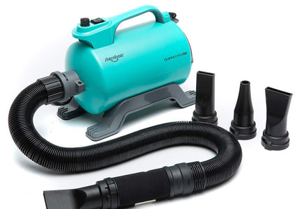 Shernbao Super Cyclone Table Grooming Dryer – Single-Engine, 2600W, High Airflow, Turquoise