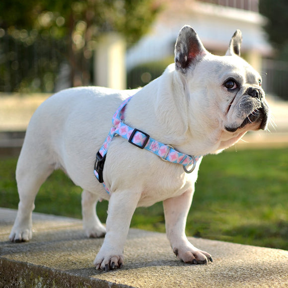 Dashi Coral Front Harness – Norwegian No-Pull Dog Harness, Pink Circle Pattern, Large Size