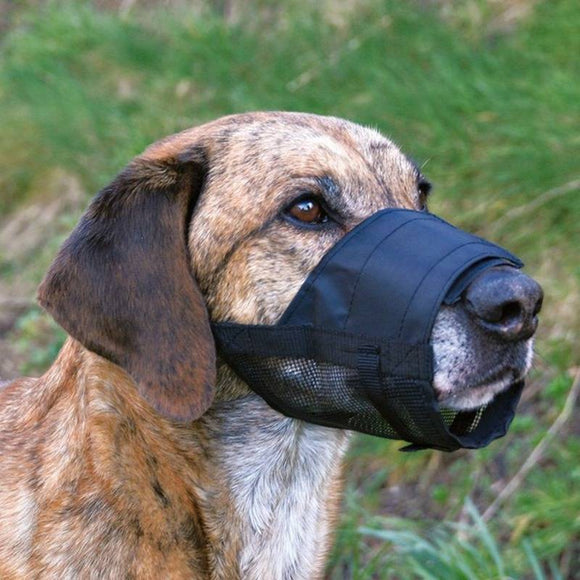 Trixie Adjustable Nylon Dog Muzzle – Secure Fit, Durable and Comfortable Design