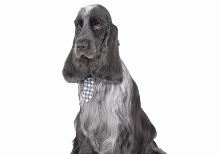 Show Tech Checkered Dog Ties Set – Mixed Colors, Stylish Accessory Pack of 10