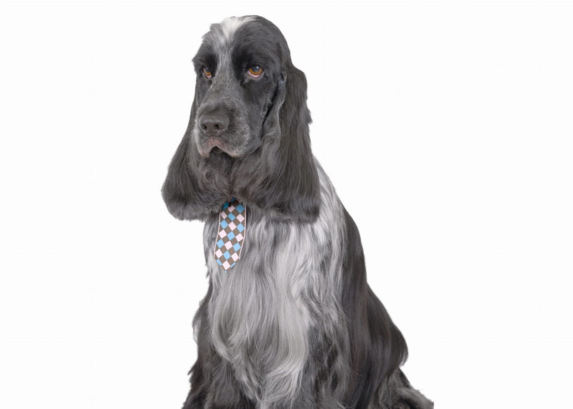 Show Tech Checkered Dog Ties Set – Mixed Colors, Stylish Accessory Pack of 10