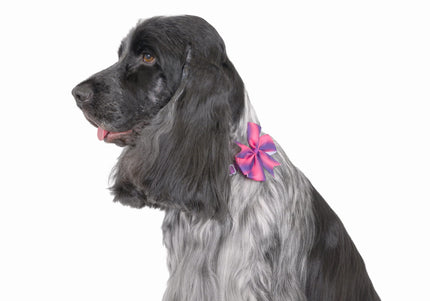 Show Tech Flower Power Grooming Bows – Colorful Decorative Set, 10 Pieces