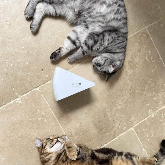 PetSafe Cheese Automatic Cat Toy – Interactive Cheese Design with Moving Mice, Engaging Play