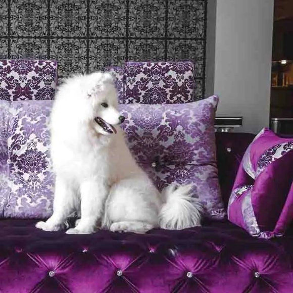 Hydra Grooming Cosmetics Discovery Set – 4 Shampoos, Mask, Leave-In Conditioner Sampler