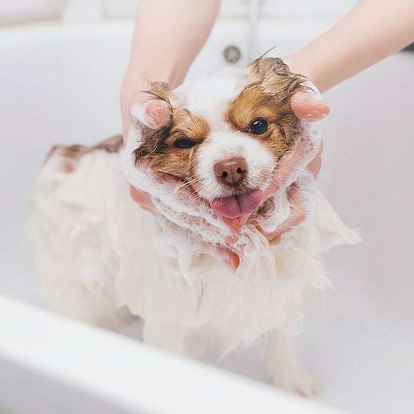 Hydra Professional Intense Repair Volumizing Mask – Regenerating Formula, Boosts Coat Volume, 480ml