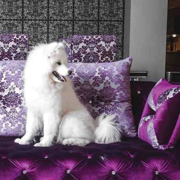 Hydra Professional Intense Repair Volumizing Mask – Regenerating Formula, Boosts Coat Volume, 480ml