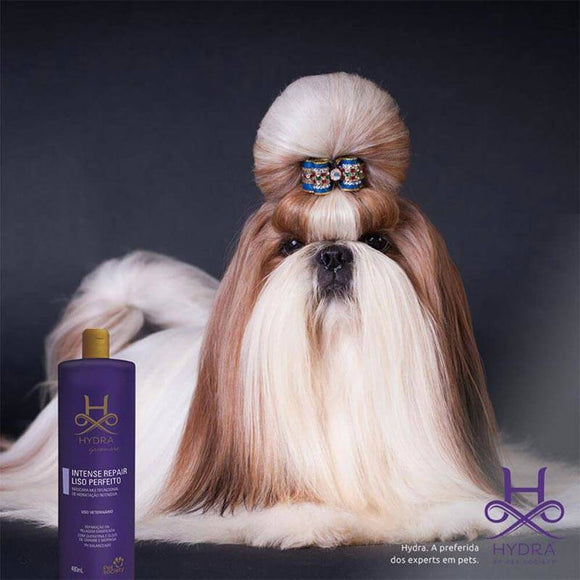 Hydra Professional Intense Repair Silky Smooth Mask – Nourishing Regenerating Moisturizing Formula, 480ml