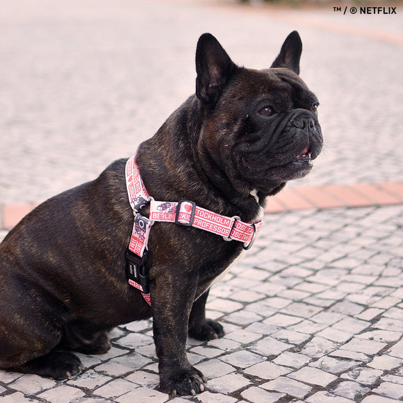 Dashi La Casa De Papel Jarana Front Harness – Norwegian Style, Money Heist Theme, Beige, Small Size