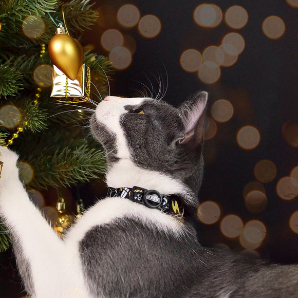 Dashi Spark Cat Collar – Festive Christmas Design with Gift Pattern, Adjustable Fit