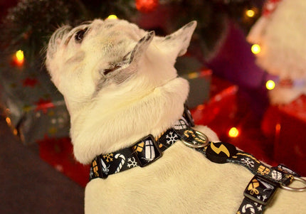 Dashi Spark Back Harness – Christmas Gift Pattern, Large Size, Comfortable and Secure Fit