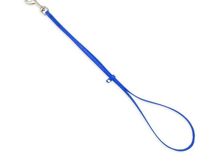 Jelly Pet Grooming Loop – Waterproof Professional Leash, 1.3cm x 60cm, Blue, Durable Design