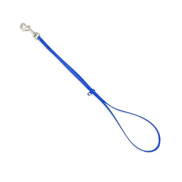 Jelly Pet Grooming Loop – Waterproof Professional Leash, 1.3cm x 60cm, Blue, Durable Design