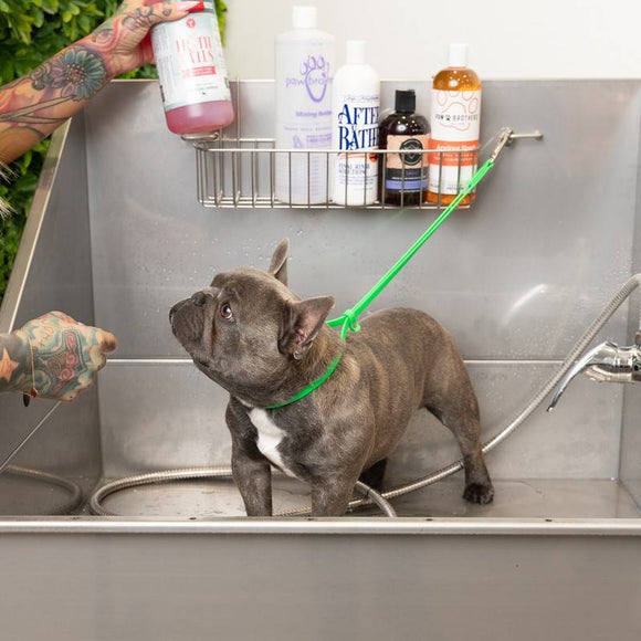 Jelly Pet Grooming Loop – Waterproof Professional Leash, 1.3cm x 60cm, Blue, Durable Design