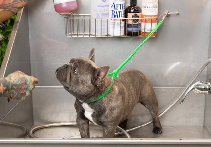 Jelly Pet Grooming Loop – Professional Waterproof Leash, 1cm x 60cm, Durable Orange Design