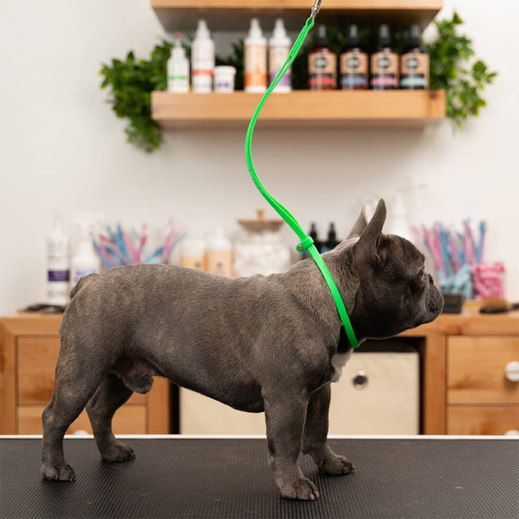 Jelly Pet Grooming Loop – Professional Waterproof Leash, 1cm x 60cm, Durable Orange Design