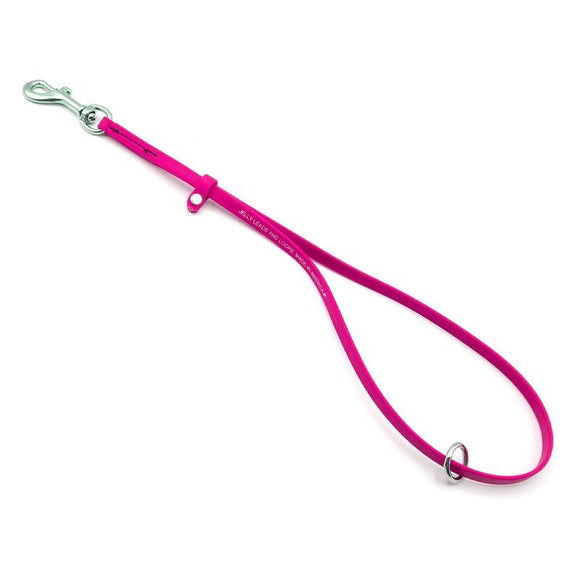 Jelly Pet Grooming Loop – Waterproof Professional Leash, 1cm x 45cm, Turquoise Color