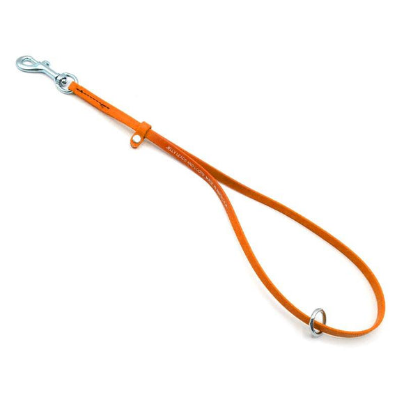 Jelly Pet Grooming Loop – Waterproof Professional Leash, 1cm x 45cm, Turquoise Color