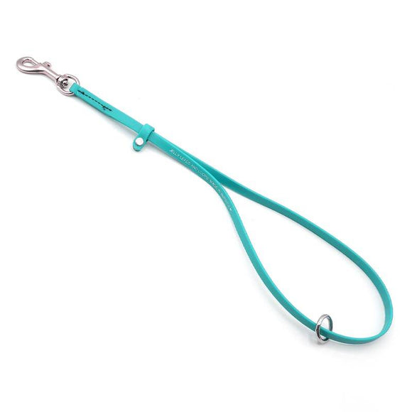 Jelly Pet Grooming Loop – Waterproof Professional Leash, 1cm x 45cm, Turquoise Color