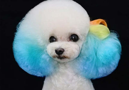 OPawz Semi-Permanent Pet Hair Dye Flash Yellow – Vibrant Long-Lasting Color Cream, 150g Tube