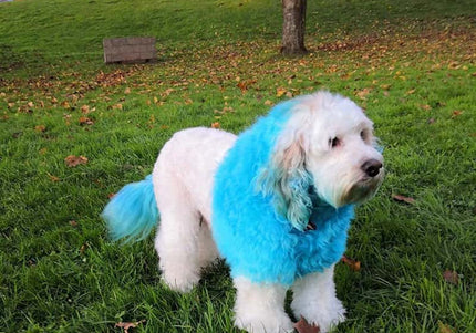 OPawz Semi-Permanent Pet Hair Dye Flash Yellow – Vibrant Long-Lasting Color Cream, 150g Tube