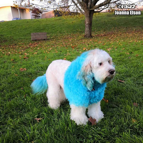 OPawz Semi-Permanent Pet Hair Dye Flash Yellow – Vibrant Long-Lasting Color Cream, 150g Tube