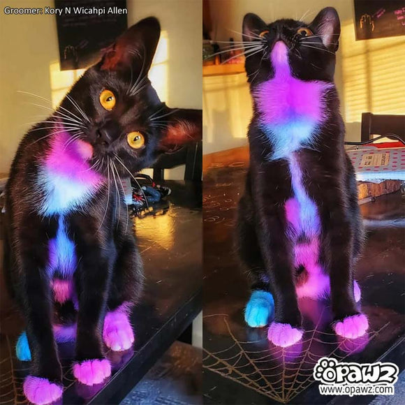 OPawz Semi-Permanent Pet Hair Dye Flash Yellow – Vibrant Long-Lasting Color Cream, 150g Tube