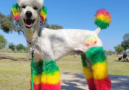 OPawz Semi-Permanent Pet Hair Dye Flash Yellow – Vibrant Long-Lasting Color Cream, 150g Tube