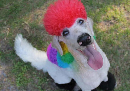 OPawz Semi-Permanent Pet Hair Dye Flash Yellow – Vibrant Long-Lasting Color Cream, 150g Tube