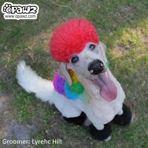 OPawz Semi-Permanent Pet Hair Dye Flash Yellow – Vibrant Long-Lasting Color Cream, 150g Tube