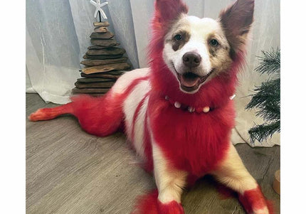 OPawz Semi-Permanent Pet Hair Dye Flash Yellow – Vibrant Long-Lasting Color Cream, 150g Tube