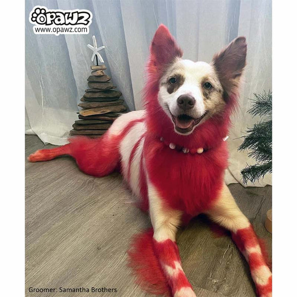 OPawz Semi-Permanent Pet Hair Dye Flash Yellow – Vibrant Long-Lasting Color Cream, 150g Tube