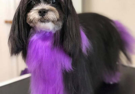 OPawz Semi-Permanent Pet Hair Dye Flash Yellow – Vibrant Long-Lasting Color Cream, 150g Tube