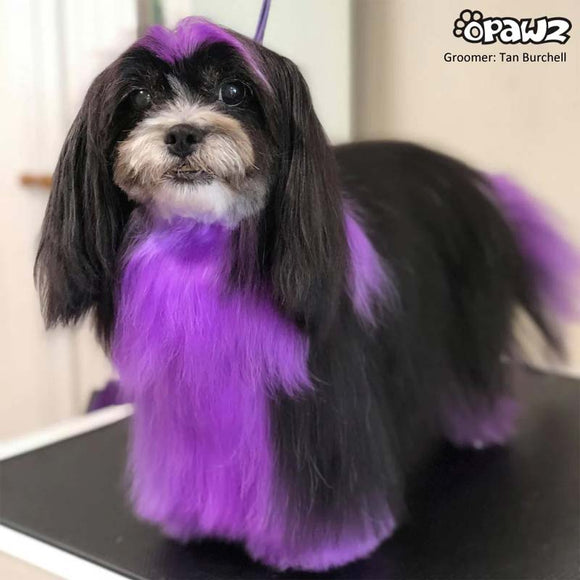 OPawz Semi-Permanent Pet Hair Dye Flash Yellow – Vibrant Long-Lasting Color Cream, 150g Tube