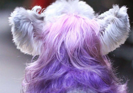 OPawz Semi-Permanent Pet Hair Dye Flash Yellow – Vibrant Long-Lasting Color Cream, 150g Tube