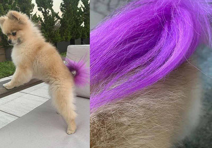 OPawz Semi-Permanent Pet Hair Dye Flash Yellow – Vibrant Long-Lasting Color Cream, 150g Tube