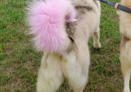 OPawz Semi-Permanent Pet Hair Dye Flash Yellow – Vibrant Long-Lasting Color Cream, 150g Tube