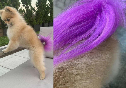 OPawz Semi-Permanent Pet Hair Dye Flash Yellow – Vibrant Long-Lasting Color Cream, 150g Tube